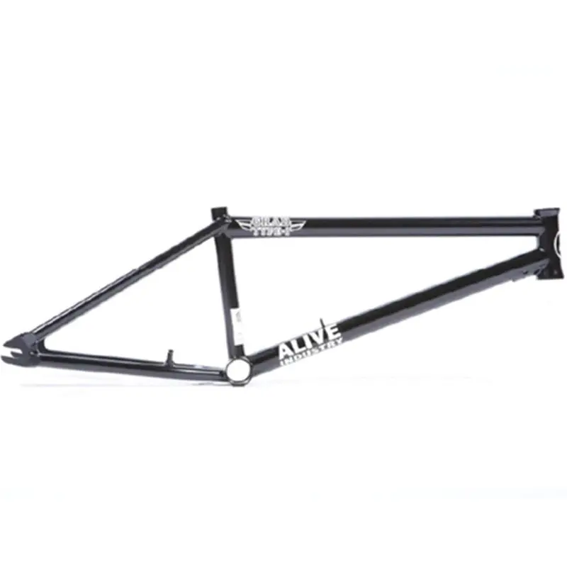 Alive Grad Type 1 Frame (Welded Brake Mounts) 1