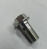 Banjo Bolt (M10x1.0X21) 1