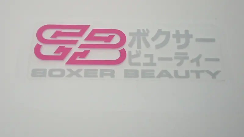 Boxer Beauty Sti Style Clear Stickers (Assorted) 2