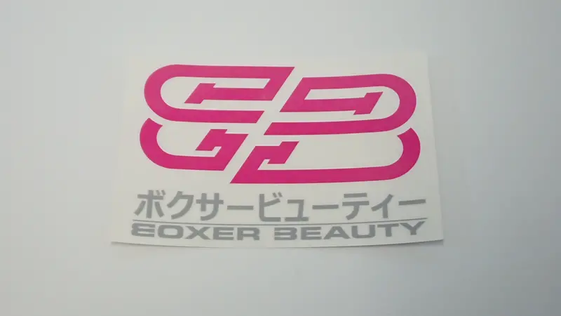 Boxer Beauty Sti Style Clear Stickers (Assorted) 4