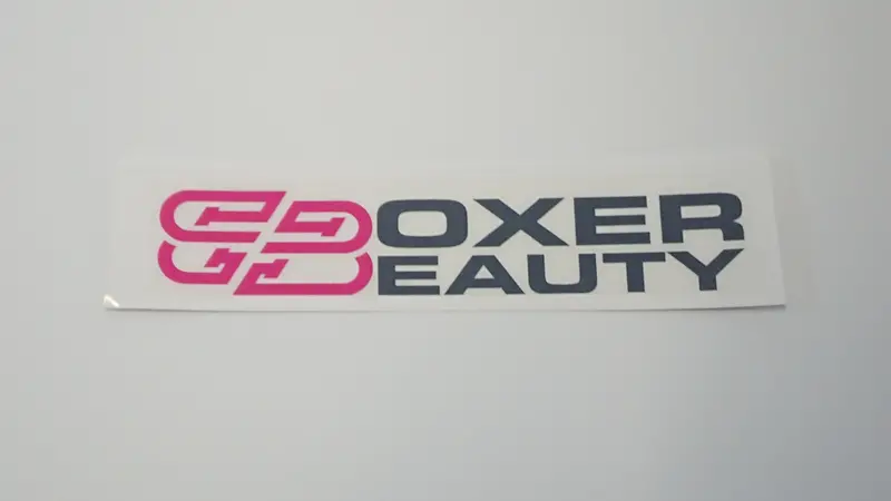 Boxer Beauty Sti Style Clear Stickers (Assorted) 4