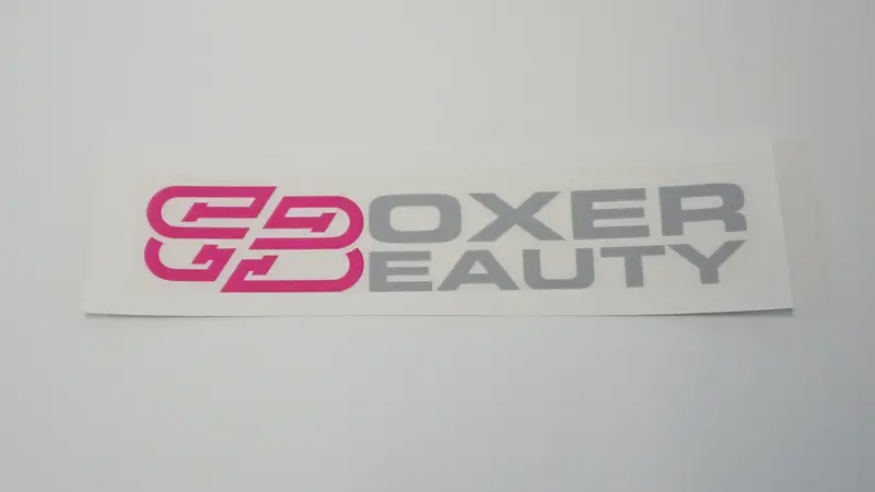 Boxer Beauty Sti Style Clear Stickers (Assorted) 5