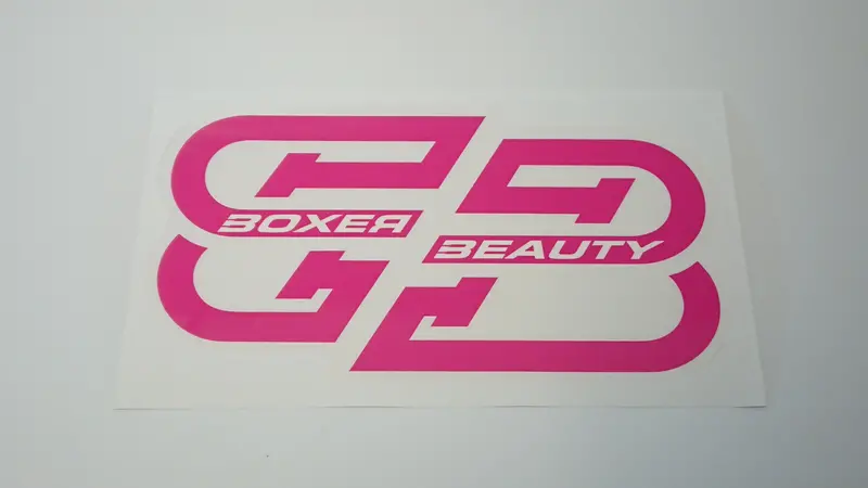 Boxer Beauty Sti Style Clear Stickers (Assorted) 6
