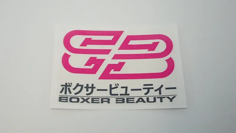 Boxer Beauty Sti Style Clear Stickers (Assorted) 7