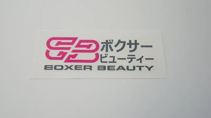 Boxer Beauty Sti Style Clear Stickers (Assorted) 8
