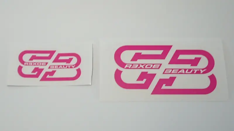 Boxer Beauty Sti Style Clear Stickers (Assorted) 9