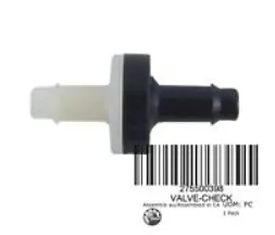 Brp Check Valve 1