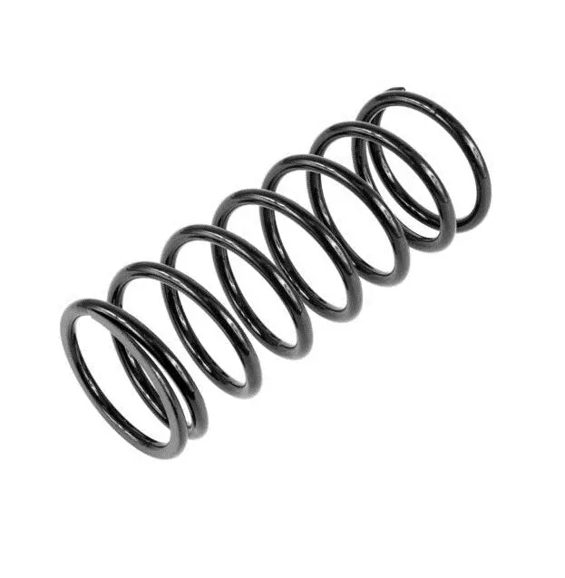 Brp Compression Spring 1