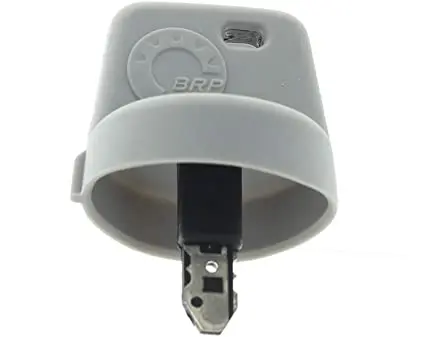 Brp Electronic Key 1