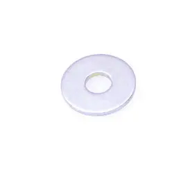 Brp Flat Washer 1