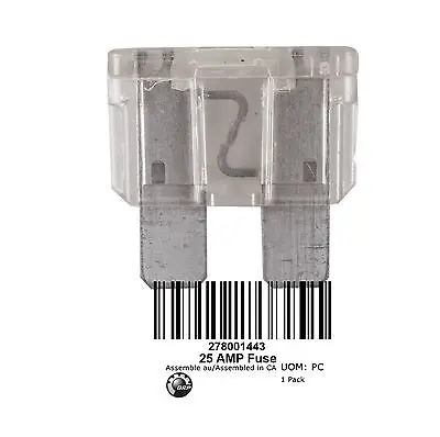 Brp Fuse 25 Amperes 1