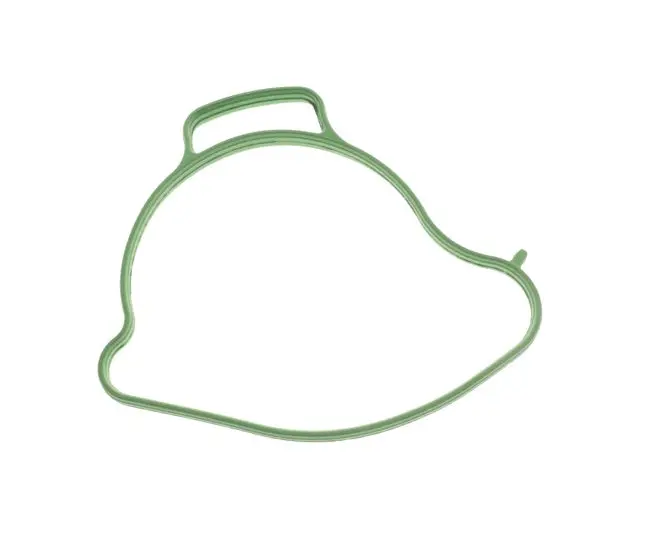 Brp Gasket (420431682) 1