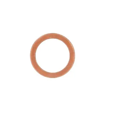Brp Gasket Ring 1