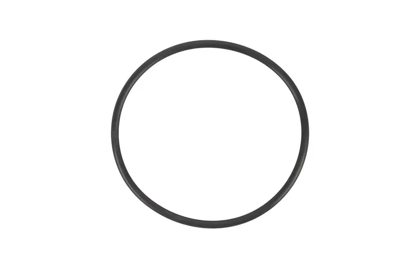 Brp Gasket Ring 1