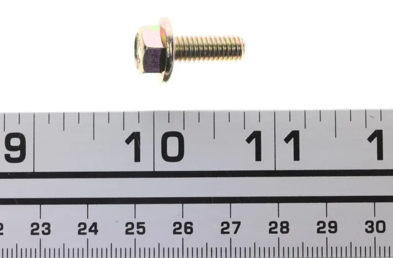 Brp Hex Flanged Screw 1