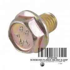 Brp Hex Flanged Screw 1