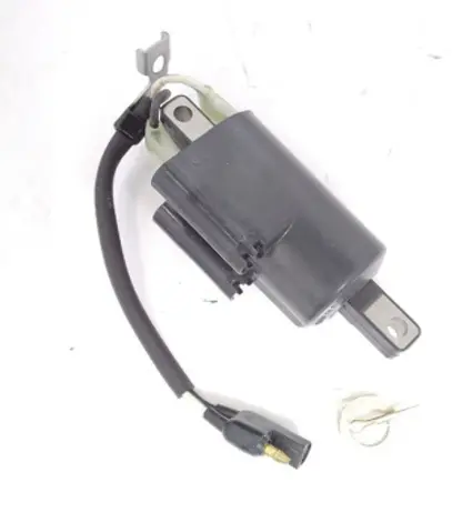 Brp Ignition Coil 1