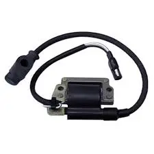 Brp Ignition Coil 1