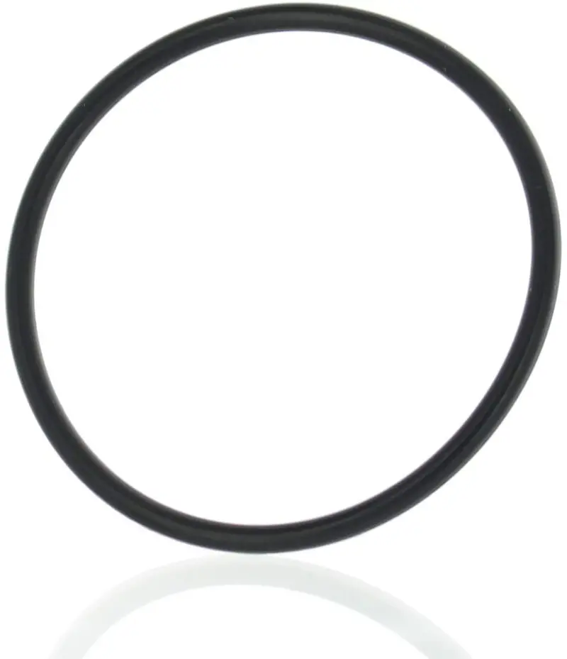 Brp O-Ring (293300011) 1