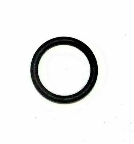 Brp O-Ring (293300036) 1