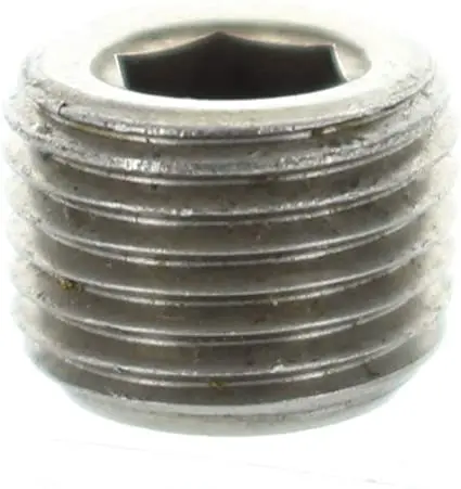 Brp Pipe Plug Socket Head 1