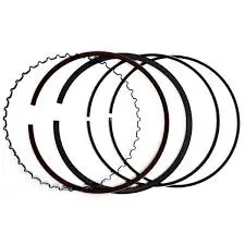 Brp Piston Ring Set 1