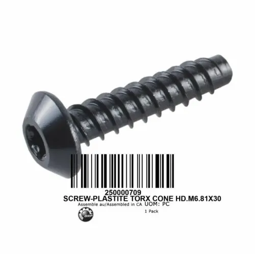 Brp Screw Torx M6.81 X 30 1