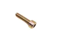 Brp Socket Screw 1
