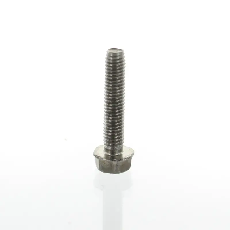 Brp Tapping Screw 1