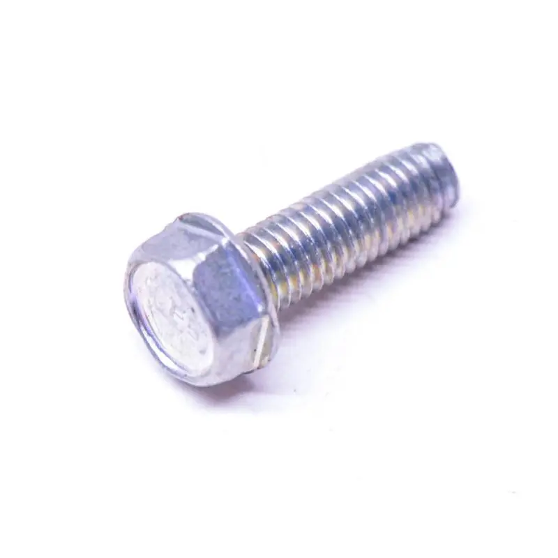 Brp Tapping Screw 1