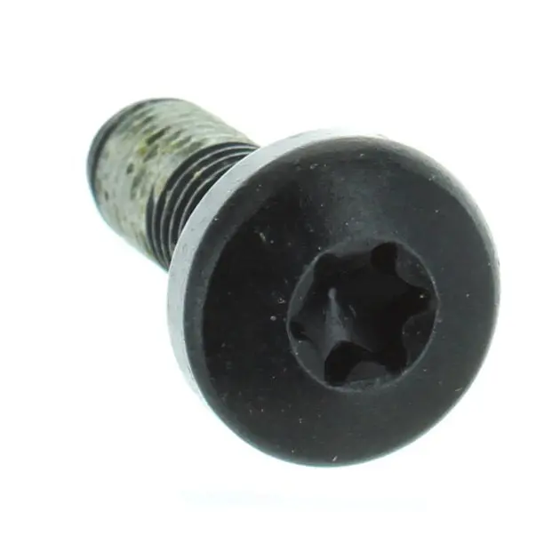 Brp Torx Screw M8 X 25 1