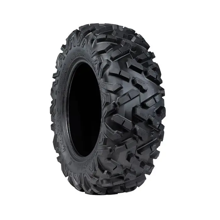 Can-Am Base Rear Tire 1