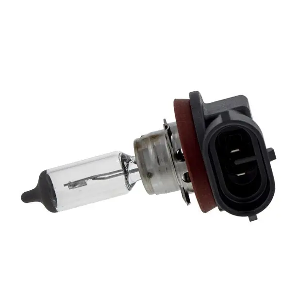 Can-Am Bulb 12V 55W 1