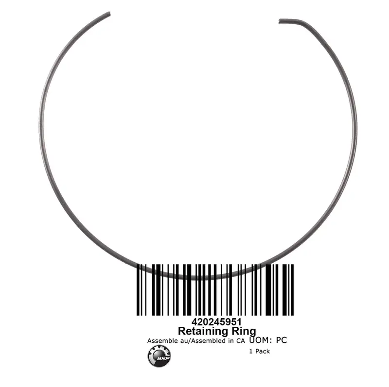 Can-Am Retaining Ring 1