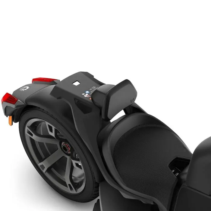 Can-Am Ryker Driver Backrest 1