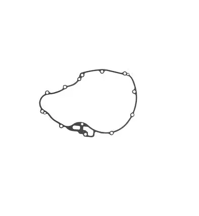 Can-Am Spyder Gasket 1