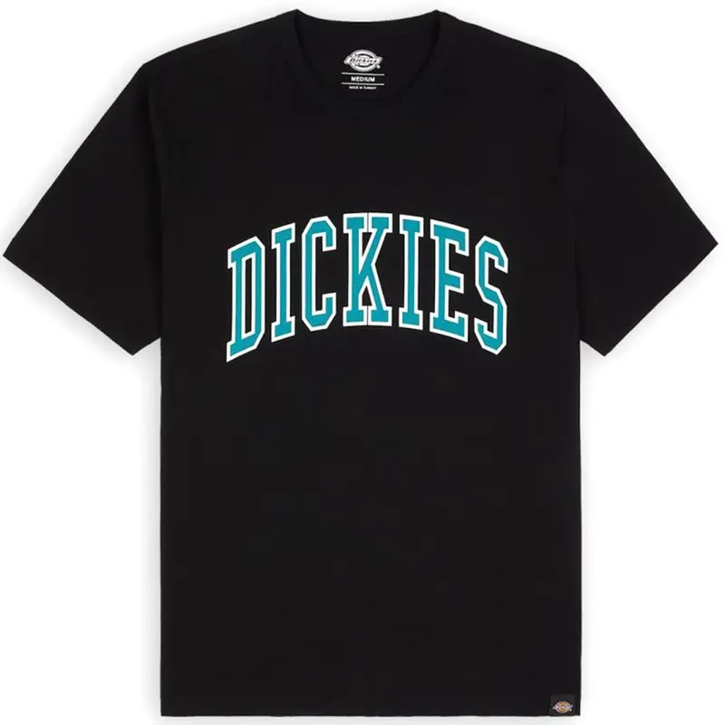 Dickies Aitkin T-Shirt - Black/Deep Lake 1