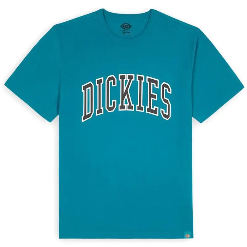 Dickies Aitkin T-Shirt - Deep Lake 1