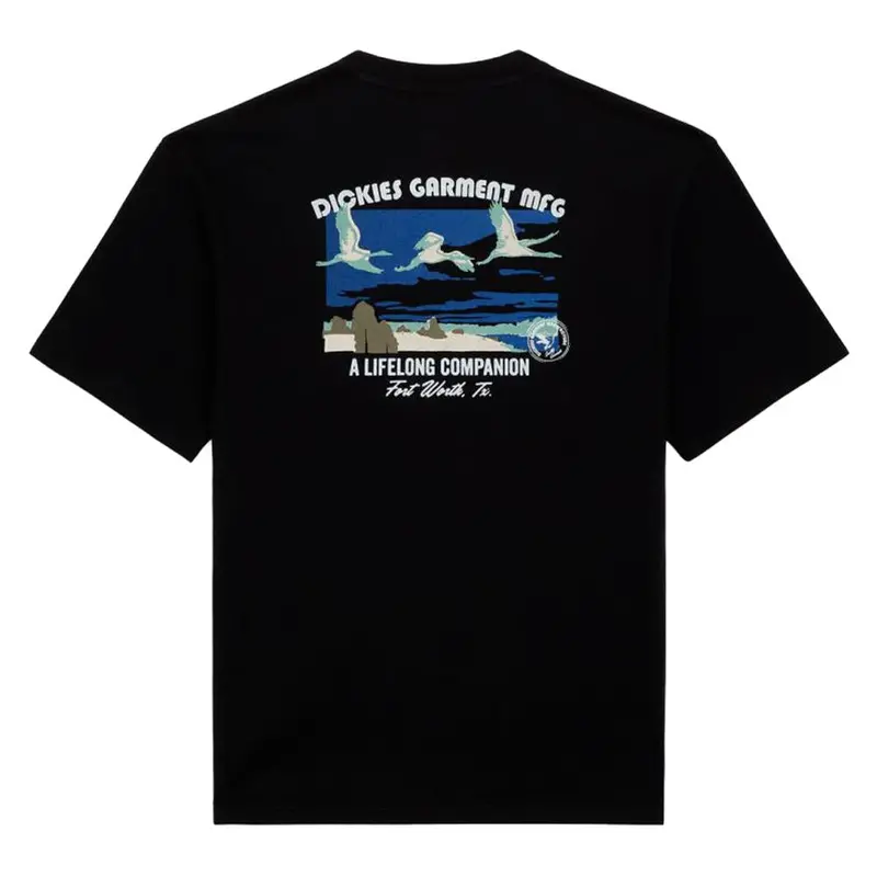 Dickies Companion T-Shirt - Black 1