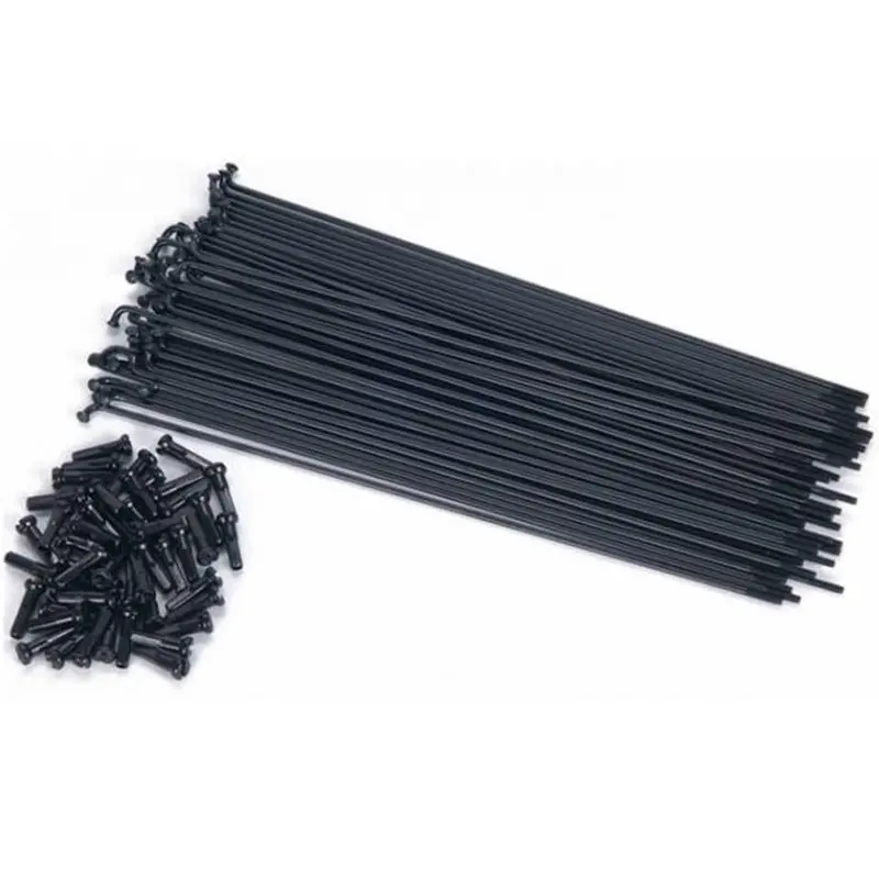 Eclat Plain Gauge Spokes 1