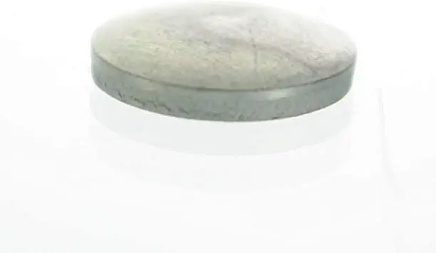 Evinrude Core Plug 1