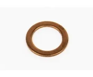 Evinrude Drain Plug Washer 1