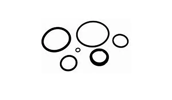 Evinrude O-Ring Package 1