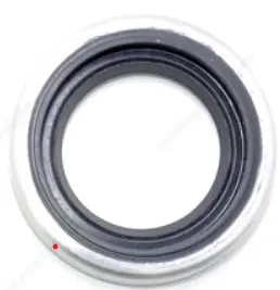 Evinrude Transom Seal Kit 1