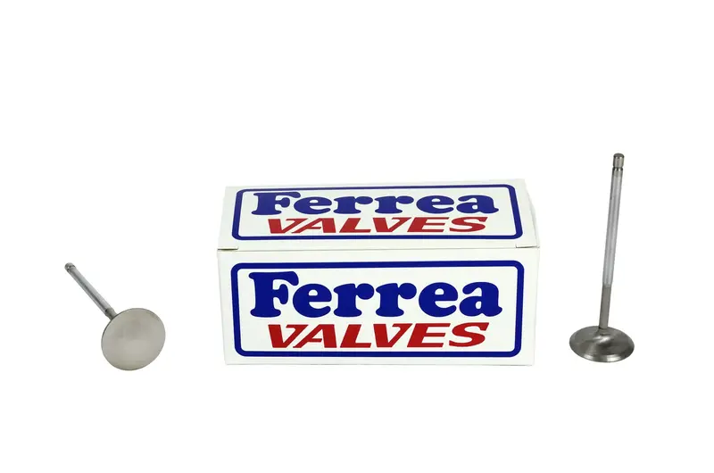 Ferrea Valve Set For 2Zz 1