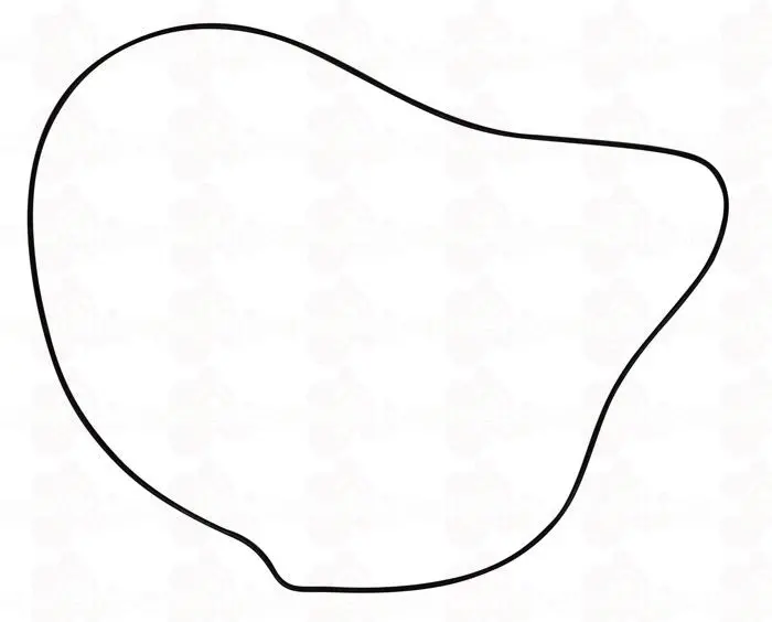 Honda Clutch Cover Gasket 1
