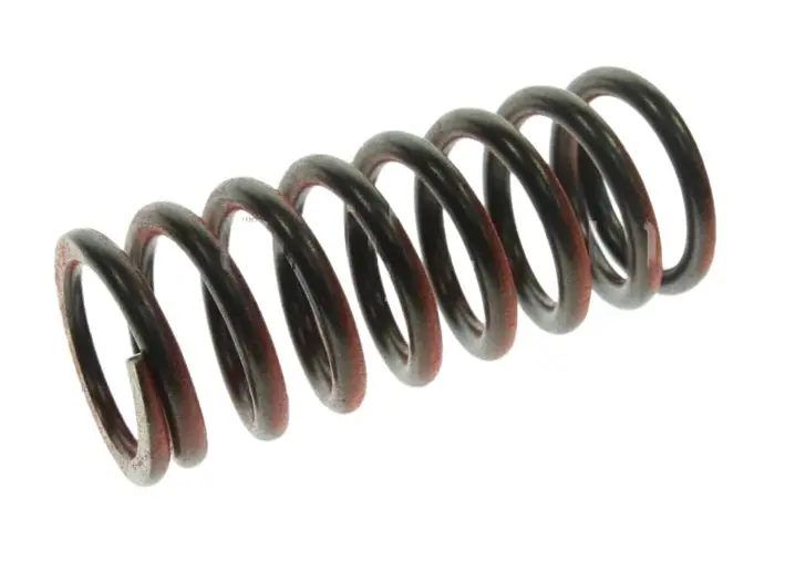 Honda Clutch Spring 1