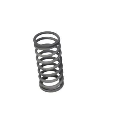 Honda Clutch Spring 1