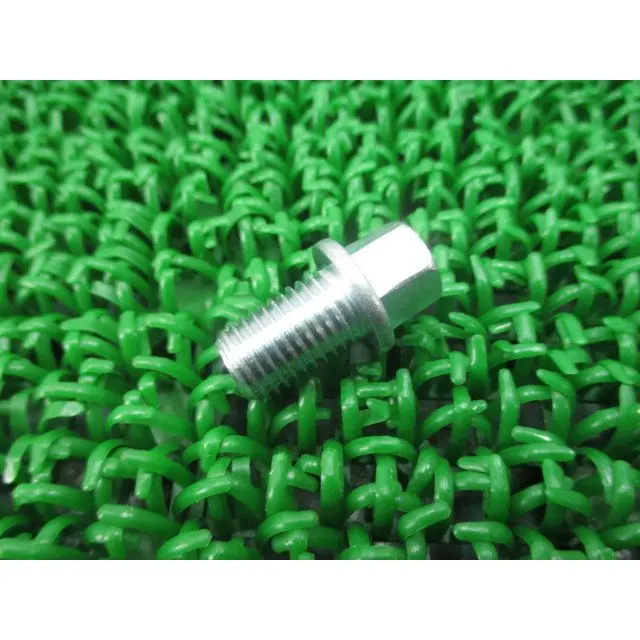 Honda Drain Plug Bolt 1
