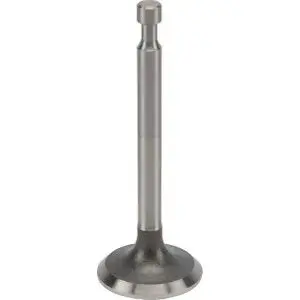 Honda Exhaust Valve 1